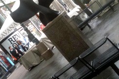 "Razlistana forma" Vojina Bakića