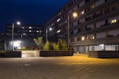 Toni Franović: Kvadrat urbane džungle/ Foto: Katarina Zlatec