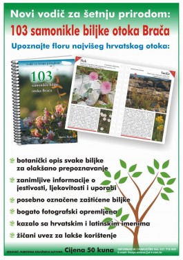 brac_samonikle.jpg