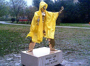 Bruce Lee, Mostar