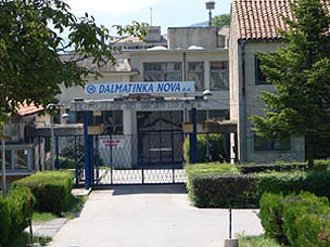 dalmatinka1.jpg