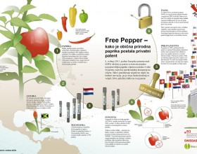 paprika-infografika.jpg