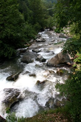 rijeka-priroda-voda-suma-fojnica-mk.jpg