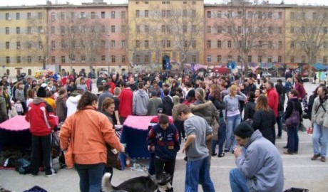 rojc_zelena-istra.hr.jpg