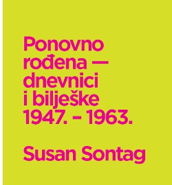 susansontagcover.jpg