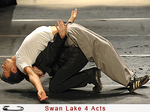 Swan Lake 4 Acts