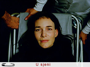 u_sjeni_zzf.jpg