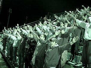 ultrasi01.jpg
