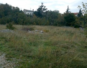 vrtovirijeka2.jpg