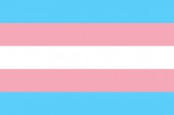 transgender.jpg