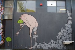 312.jpg