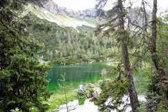 Foto: Karmela Prpić<br>