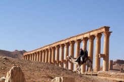 palmyra8_copy17186.jpg