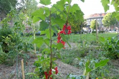 Foto: Parkticipacija<br>