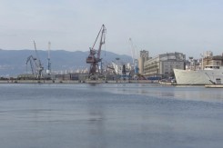 dezinsekcija_ri.jpg