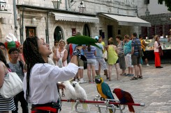turizam_dubrovnik_mk.jpg