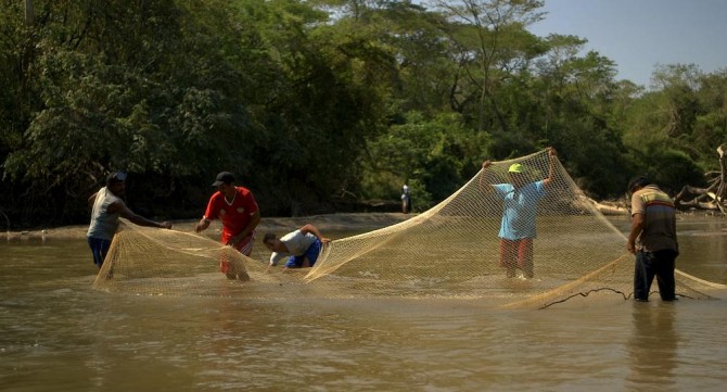buenavida_copy27498.jpg