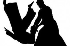 aikido.jpg