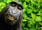 naruto_selfie_copy49583.jpg