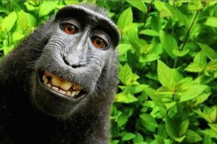 naruto_selfie_copy49583.jpg