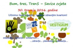savica.jpg