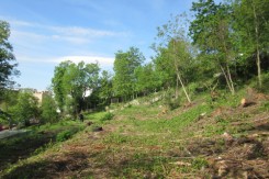 Foto: Saša&amp;nbsp;<span style="line-height: 17.1429px;">Šimpraga</span>