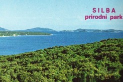 silba.jpg