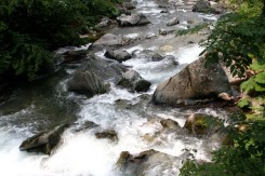rijeka_priroda_voda_suma_fojnica_mk.jpg