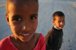 alzir_274_c6b.jpg