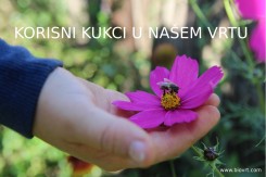 biovrt_video_small.jpg