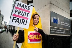 makefruitfair1.jpg
