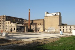 Foto: Branko Radovanović, Wikipedija