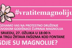 magnolije.jpg