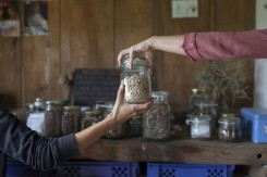 Foto: Neven Petrović