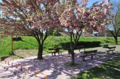 Hlad u Crnatkovoj, (Foto: Saša Šimpraga)