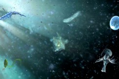 noise_aquarium_amore_porec.jpg