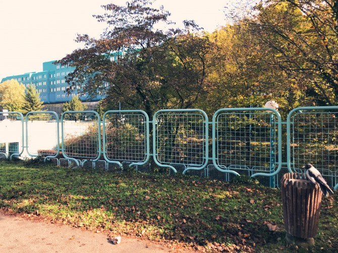 (Fotografije: Anja Vladisavljević)