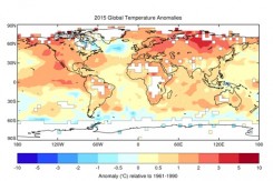 temp.jpg