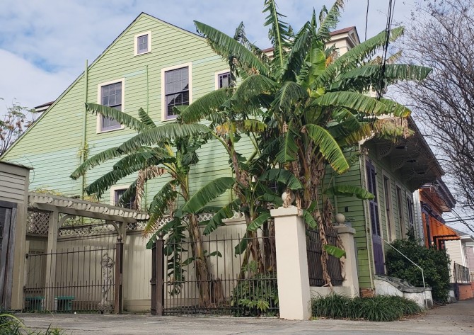 (Foto: Tajana Sisgoreo)