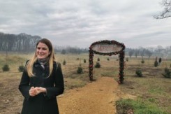park_novogodisnjih_jelki_sombor.jpg