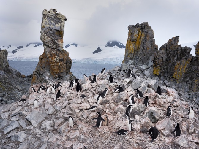 Foto: C. Aslund, Greenpeace
