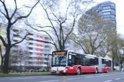 Foto: Johannes Zinner