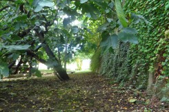 bologna_park5_mk.jpg