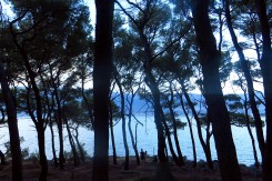 marjan12_mk_copy62738.jpg