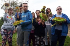 Fotografije: Zeleno zlato