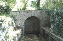 vinodol_ekovjesnik.jpg