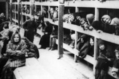 auschwitz_holokaust_epa_abrasmedia.jpg