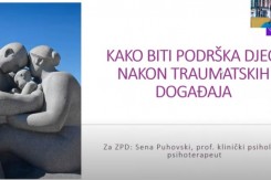 webinar_zpd.jpg