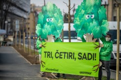 Foto: N. Smajić<br>