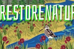 restore_nature_biom.jpg